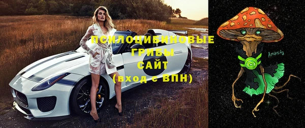крисы Дмитровск