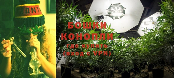 крисы Дмитровск
