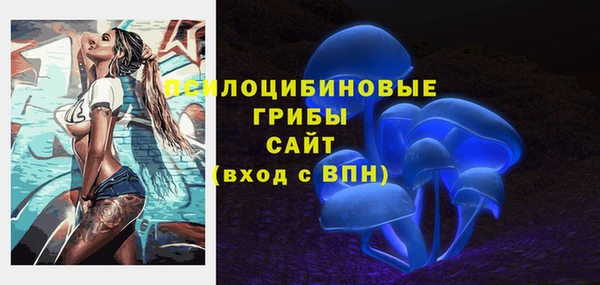 крисы Дмитровск