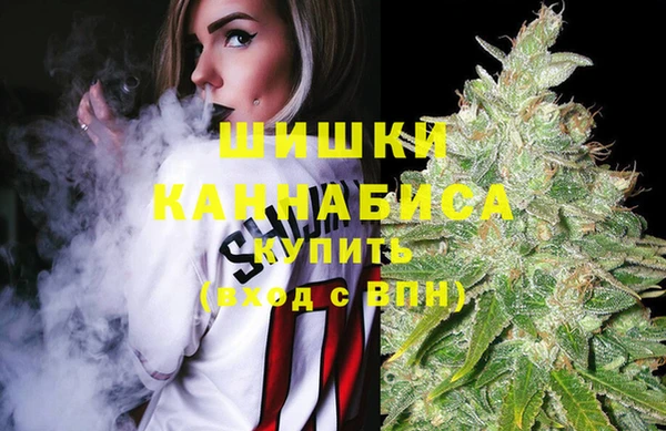 крисы Дмитровск