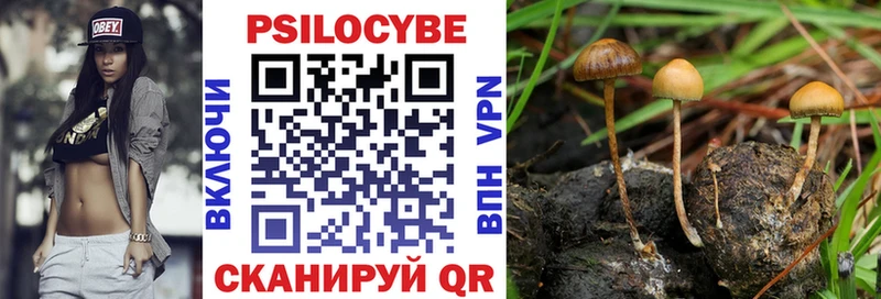 Купить где  Нея  Галлюциногенные грибы мухоморы 